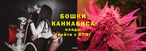 PSILOCYBIN Зеленодольск