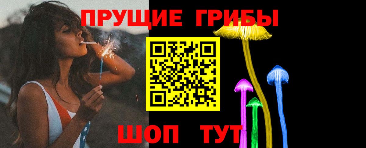 Галлюциногенные грибы MAGIC MUSHROOMS  Вход с VPN  Тверь 