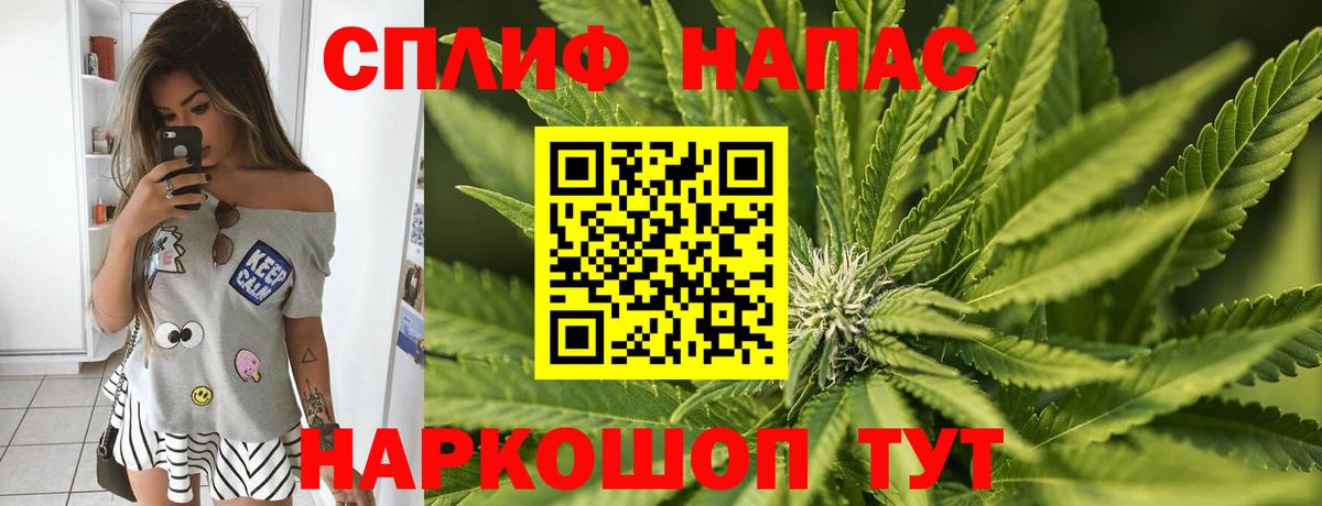 Канабис планчик  Шишки марихуана планчик  Тверь  Канабис White Widow  Конопля семена  Вход с VPN 